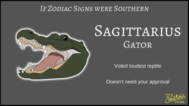 If Zodiac Signs Were Southern (14 pics)