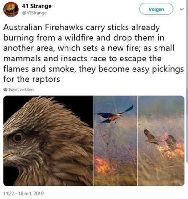 australia-can-be-good-and-bad-at-the-same-time-30-pics