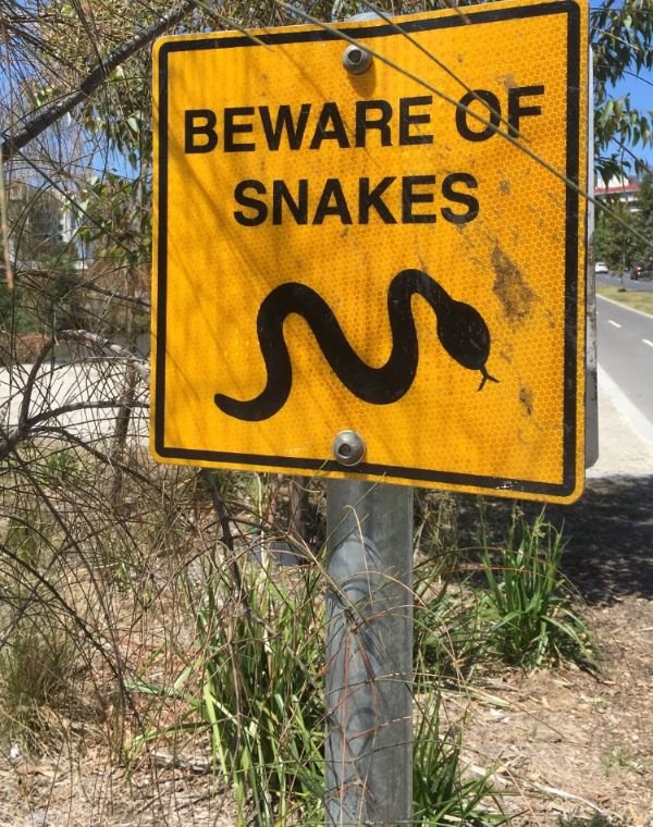 Australia Can Be Good And Bad At The Same Time (30 pics)