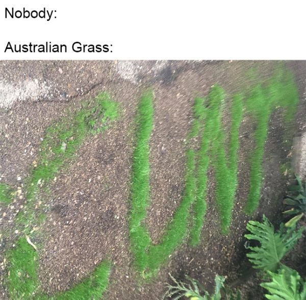 Australia Can Be Good And Bad At The Same Time (30 pics)