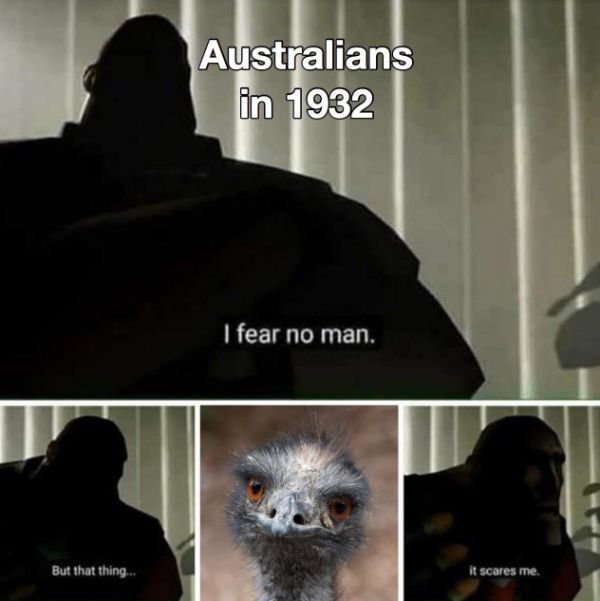 Australia Can Be Good And Bad At The Same Time (30 pics)