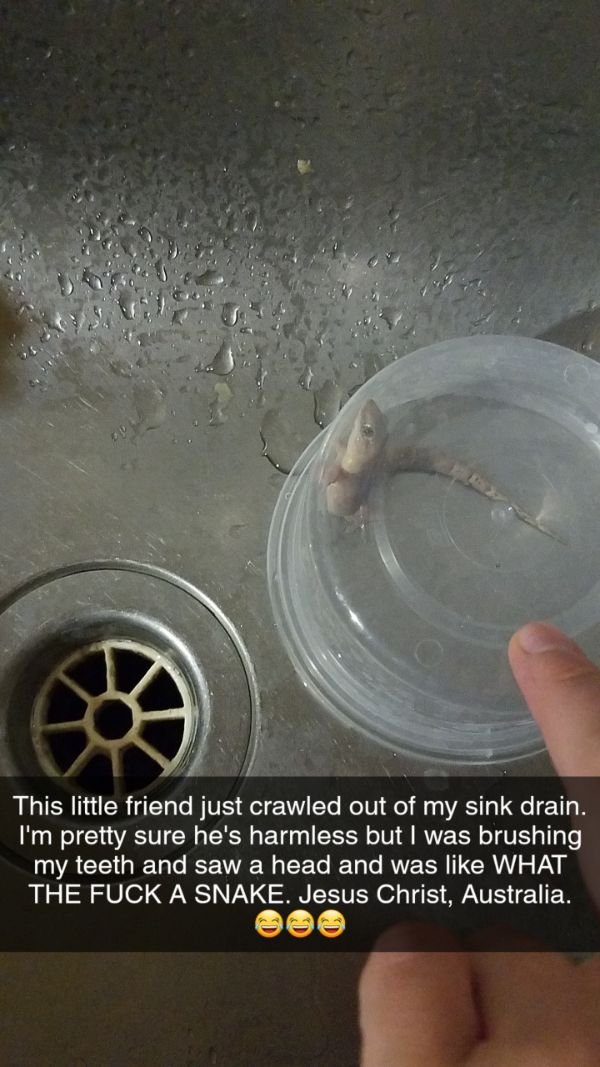 Australia Can Be Good And Bad At The Same Time (30 pics)