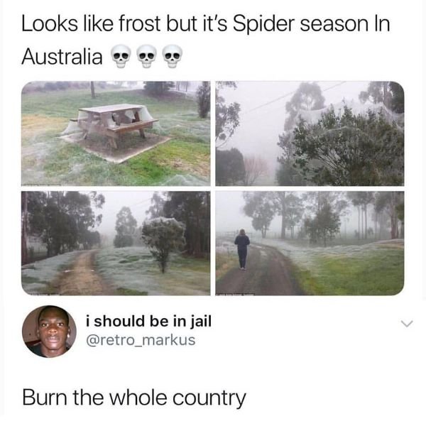 Australia Can Be Good And Bad At The Same Time (30 pics)