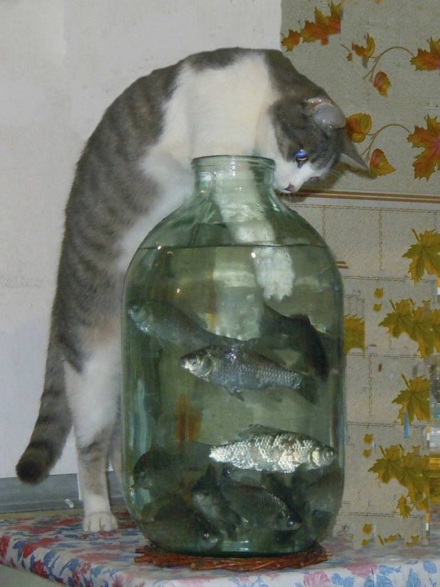 Acid Picdump. Part 1 (98 pics)