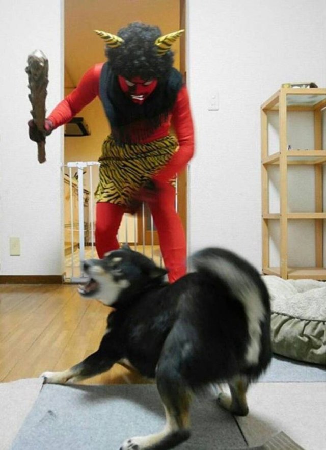 Acid Picdump. Part 1 (98 pics)