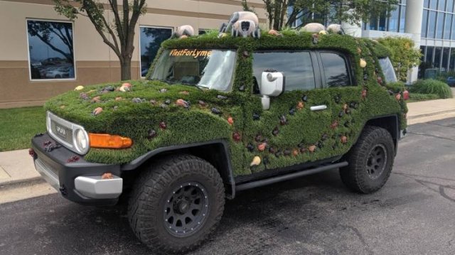 Acid Picdump. Part 1 (98 pics)