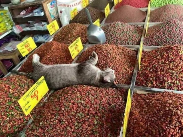 Acid Picdump. Part 1 (98 pics)