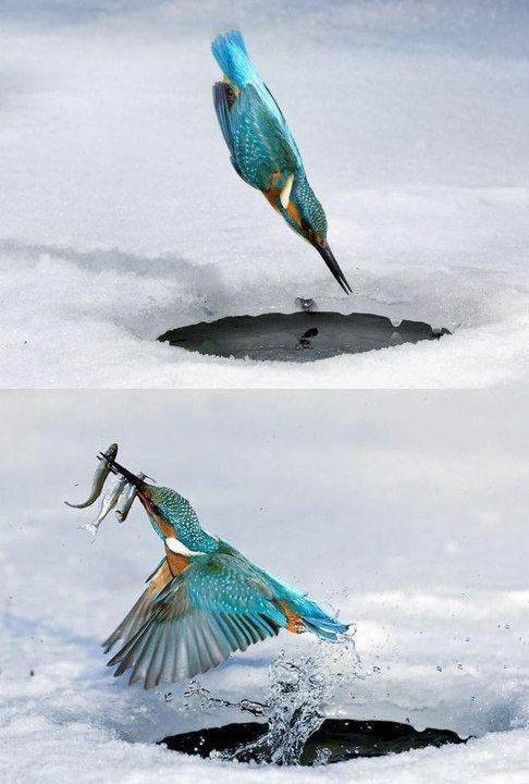 Acid Picdump. Part 1 (98 pics)