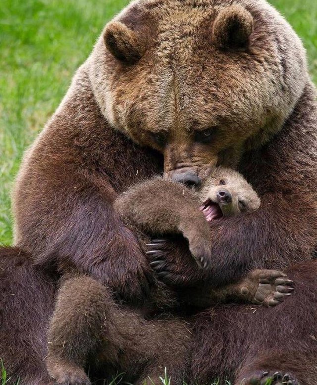 Emotional Photos (18 pics) Emotional Photos (18 pics)