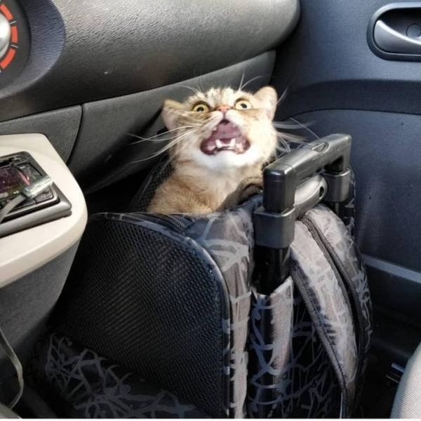 Emotional Photos (18 pics) Emotional Photos (18 pics)