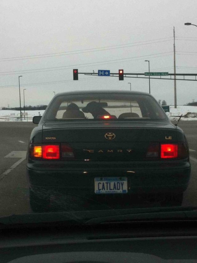 Don't Believe Everything You See (51 pics)