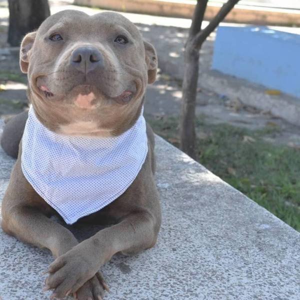 Emotional Photos (18 pics) Emotional Photos (18 pics)