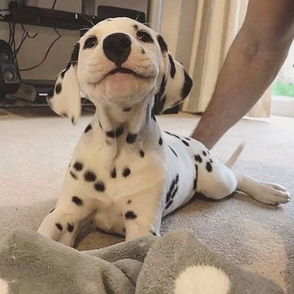 Emotional Photos (18 pics) Emotional Photos (18 pics)