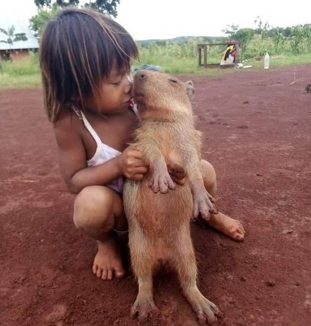 Emotional Photos (18 pics) Emotional Photos (18 pics)