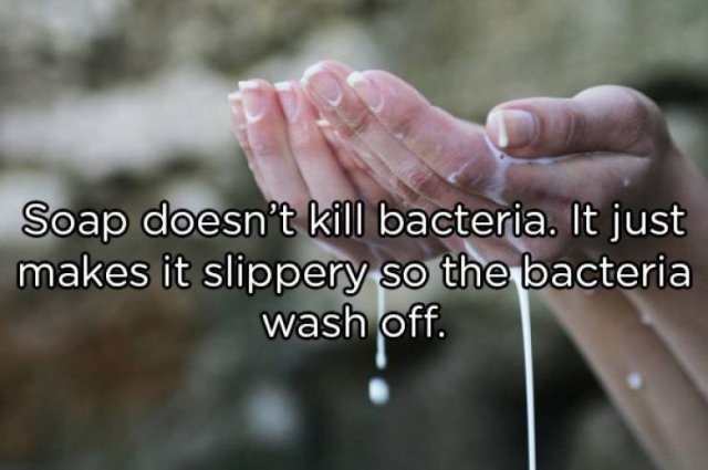 Interesting Facts (25 pics)