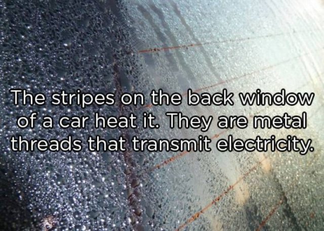 Interesting Facts (25 pics)
