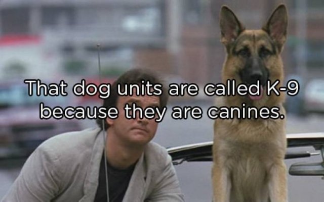 Interesting Facts (25 pics)