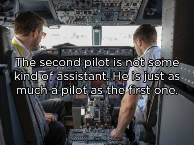 Interesting Facts (25 pics)