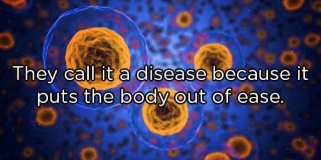 Interesting Facts (25 pics)