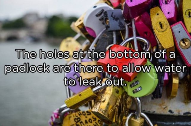 Interesting Facts (25 pics)
