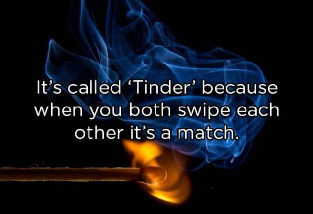 Interesting Facts (25 pics)