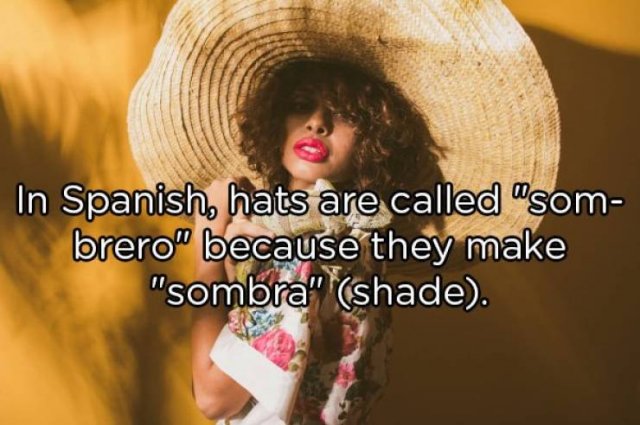 Interesting Facts (25 pics)