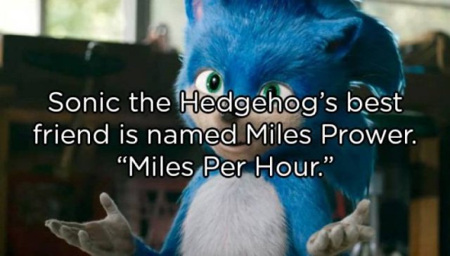 Interesting Facts (25 pics)