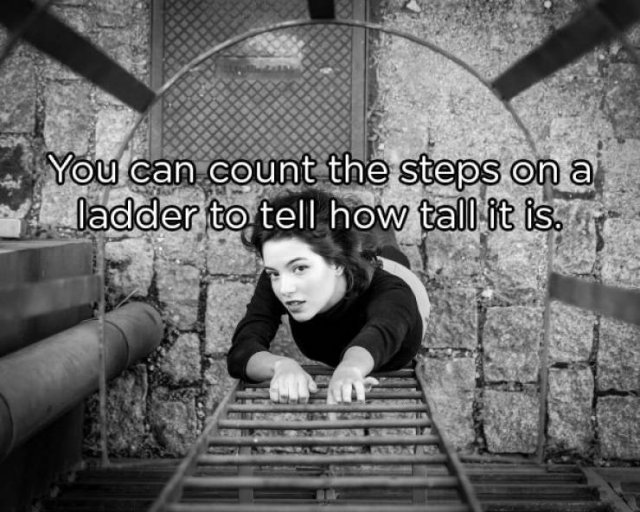 Interesting Facts (25 pics)