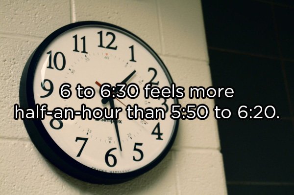 Shower Thoughts (20 pics)