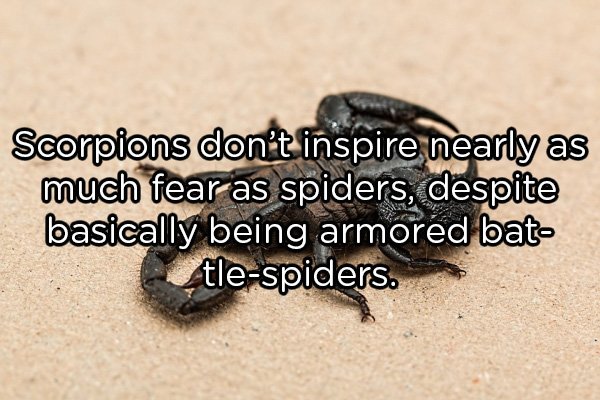 Shower Thoughts (20 pics)