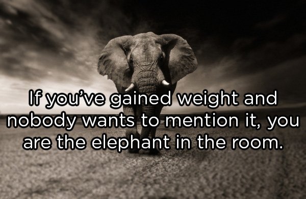 Shower Thoughts (20 pics)