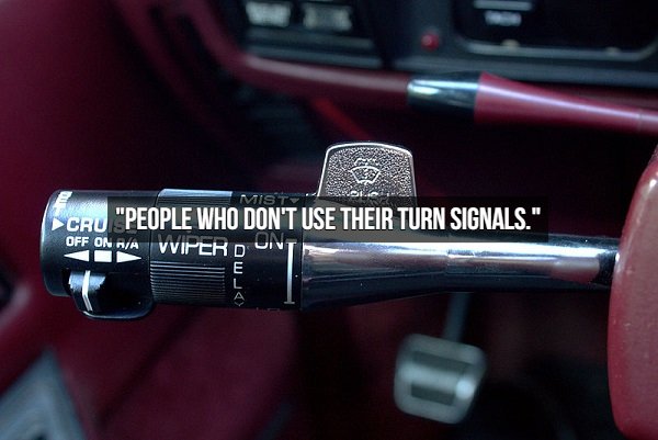 We Hate People Like This (20 pics)