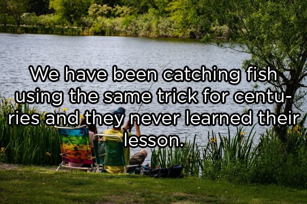 Shower Thoughts (20 pics)