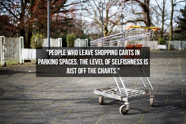 We Hate People Like This (20 pics)