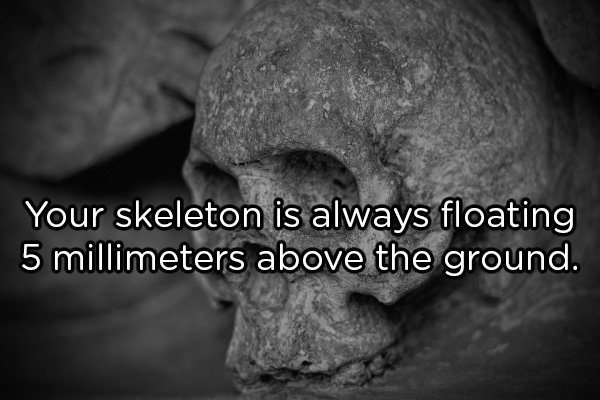 Shower Thoughts (20 pics)