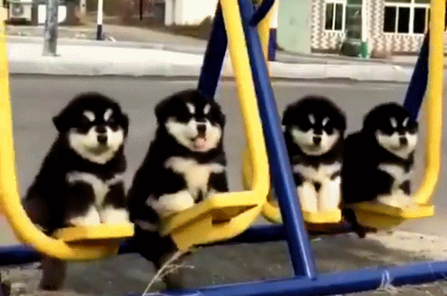 Acid Gifdump, July 18 (25 gifs)