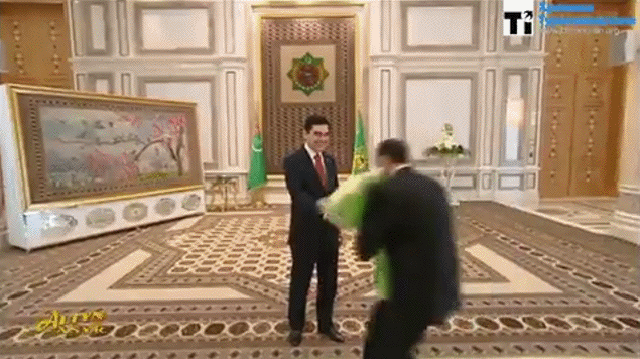 Acid Gifdump, July 18 (25 gifs)