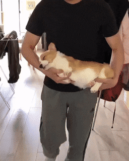 Acid Gifdump, July 18 (25 gifs)