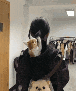 Acid Gifdump, July 18 (25 gifs)