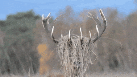 Acid Gifdump, July 18 (25 gifs)