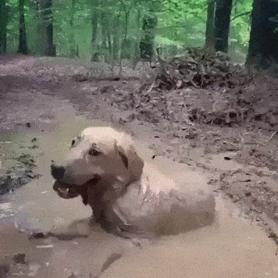 Acid Gifdump, July 19 (25 gifs)
