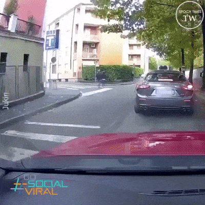Acid Gifdump, July 19 (25 gifs)