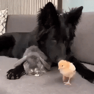 Acid Gifdump, July 19 (25 gifs)