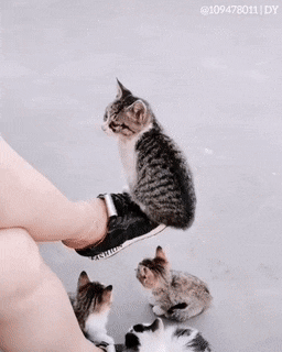 Acid Gifdump, July 19 (25 gifs)