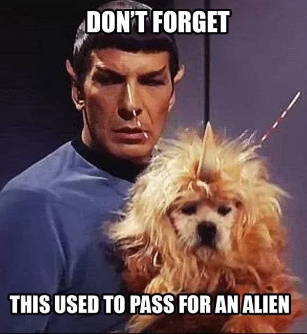 “Star Trek” Memes (37 pics)