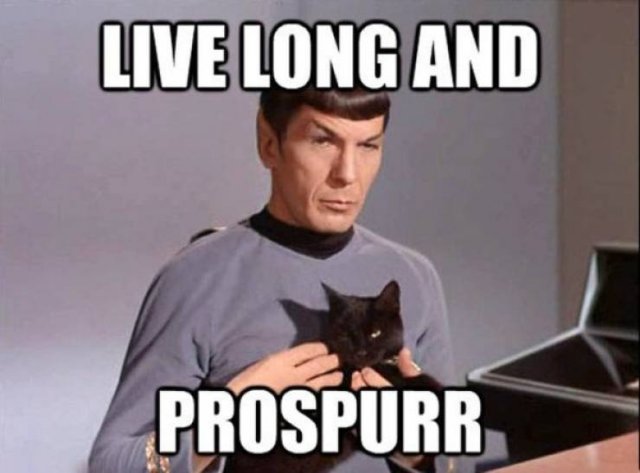 “Star Trek” Memes (37 pics)
