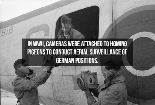 Spy Facts (15 pics)