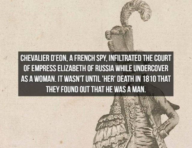 Spy Facts (15 pics)