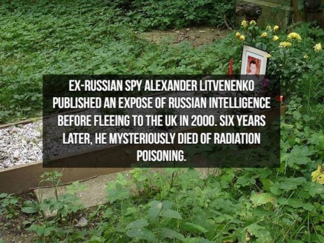 Spy Facts (15 pics)