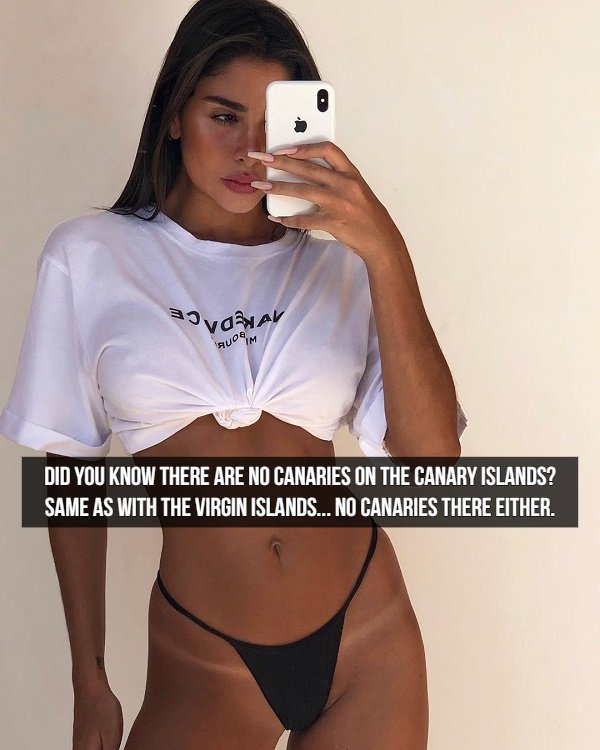 Girls And Jokes (17 pics)